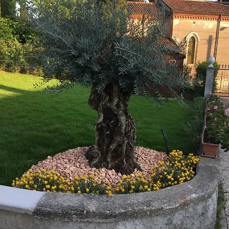 Castel Montorio Bed & Breakfast *