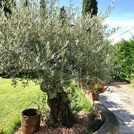 Bed & Breakfast Castel Montorio